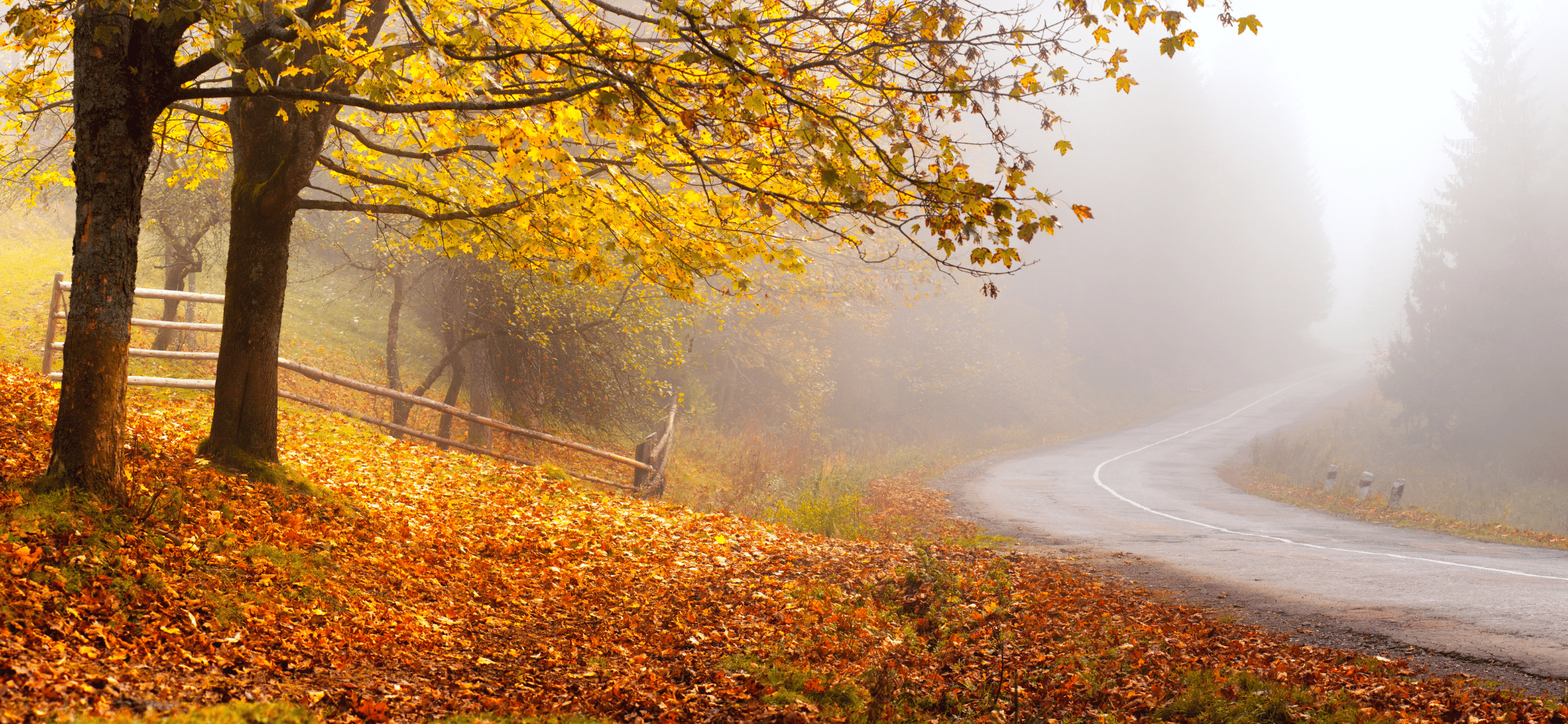 desafío Otoño